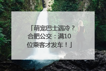 萌宠巴士遇冷？合肥公交：满10位乘客才发车！