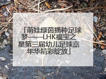 萌娃绿茵播种足球梦——LHK福宝之星第三届幼儿足球嘉年华精彩绽放