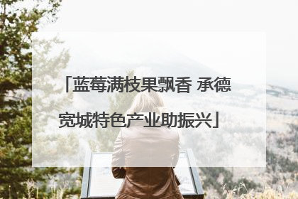 蓝莓满枝果飘香 承德宽城特色产业助振兴