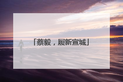 蔡毅，履新宣城