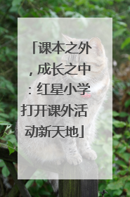 课本之外，成长之中：红星小学打开课外活动新天地