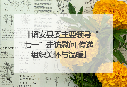 诏安县委主要领导“七一”走访慰问 传递组织关怀与温暖