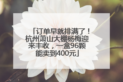 订单早就排满了！杭州萧山大棚杨梅迎来丰收，一盒96颗能卖到400元