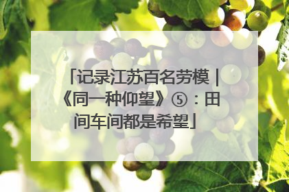 记录江苏百名劳模｜《同一种仰望》⑤：田间车间都是希望