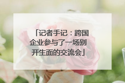 记者手记：跨国企业参与了一场别开生面的交流会