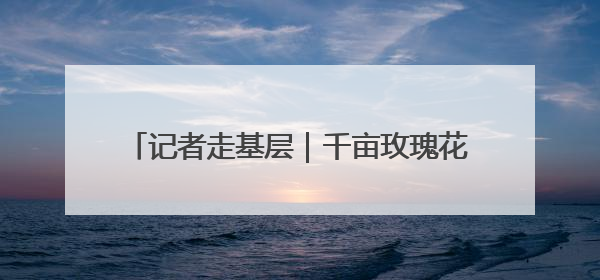 记者走基层｜千亩玫瑰花开 美景带来“钱景”