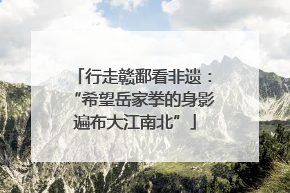 行走赣鄱看非遗：“希望岳家拳的身影遍布大江南北”