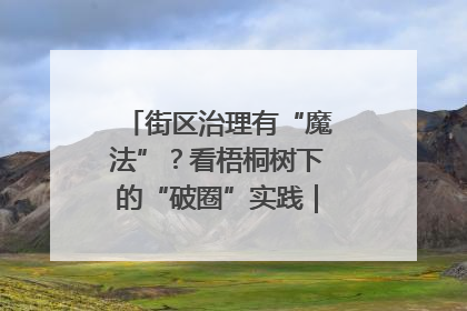 街区治理有“魔法”？看梧桐树下的“破圈”实践｜我在街区当书记