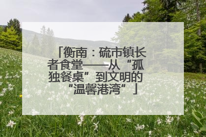 衡南：硫市镇长者食堂——从“孤独餐桌”到文明的“温馨港湾”