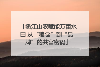 衢江山农赋能万亩水田 从“粮仓”到“品牌”的共富密码