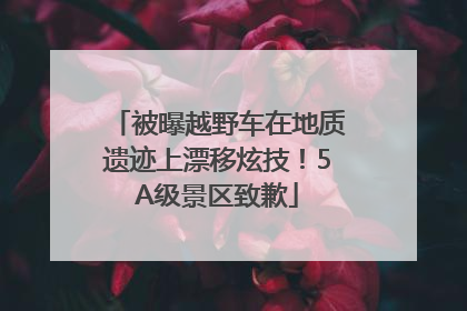 被曝越野车在地质遗迹上漂移炫技！5A级景区致歉
