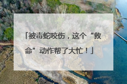 被毒蛇咬伤，这个“救命”动作帮了大忙！