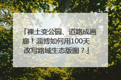 裸土变公园、道路成画廊！淄博如何用100天改写路域生态版图？