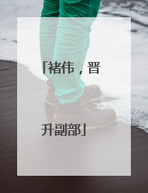 褚伟，晋升副部
