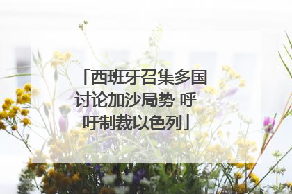 西班牙召集多国讨论加沙局势 呼吁制裁以色列
