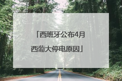 西班牙公布4月西葡大停电原因