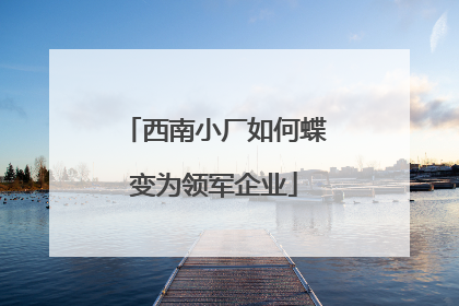 西南小厂如何蝶变为领军企业