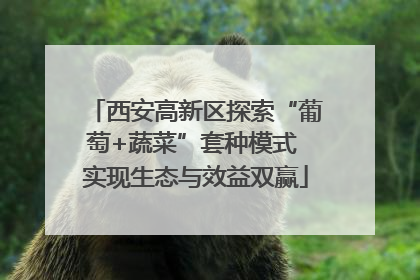 西安高新区探索“葡萄+蔬菜”套种模式 实现生态与效益双赢