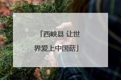 西峡县 让世界爱上中国菇