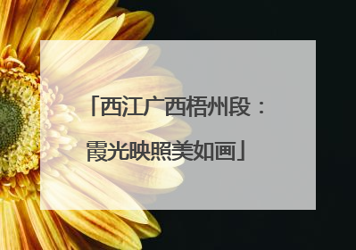 西江广西梧州段：霞光映照美如画
