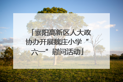 襄阳高新区人大政协办开展魏庄小学“六一”慰问活动