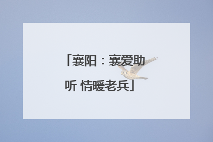 襄阳：襄爱助听 情暖老兵