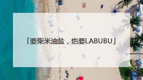 要柴米油盐，也要LABUBU