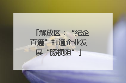 解放区：“纪企直通”打通企业发展“肠梗阻”