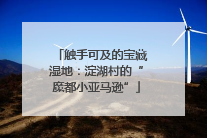 触手可及的宝藏湿地：淀湖村的“魔都小亚马逊”