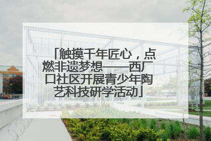 触摸千年匠心，点燃非遗梦想——西厂口社区开展青少年陶艺科技研学活动