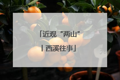 近观“两山”丨西溪往事