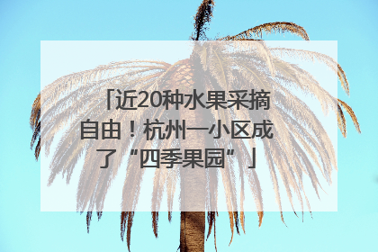 近20种水果采摘自由！杭州一小区成了“四季果园”
