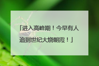 进入高峰期！今早有人追到世纪大烧朝霞！