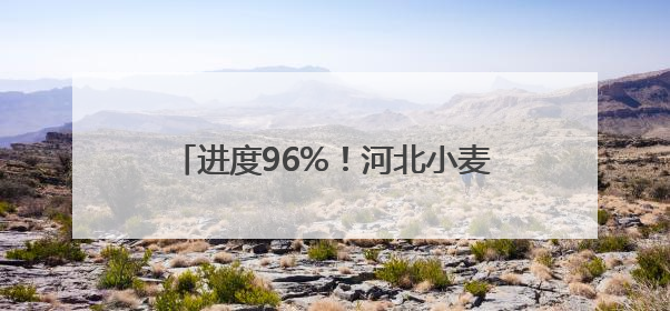 进度96%！河北小麦已收获3000余万亩
