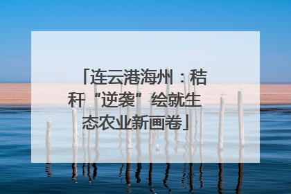 连云港海州：秸秆“逆袭”绘就生态农业新画卷