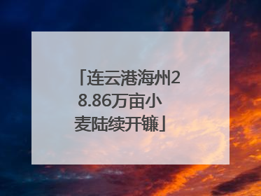 连云港海州28.86万亩小麦陆续开镰