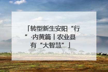 转型新生安阳“行”·内黄篇丨农业县有“大智慧”