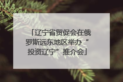 辽宁省贸促会在俄罗斯远东地区举办“投资辽宁”推介会