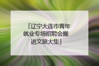 辽宁大连市青年就业专场招聘会搬进文旅大集