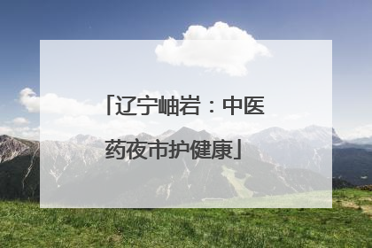 辽宁岫岩：中医药夜市护健康