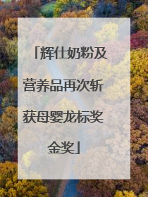 辉仕奶粉及营养品再次斩获母婴龙标奖金奖