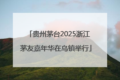 贵州茅台2025浙江茅友嘉年华在乌镇举行