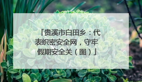 贵溪市白田乡：代表织密安全网，守牢假期安全关（图）