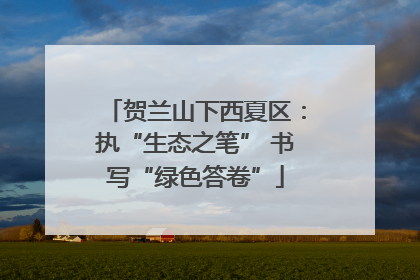 贺兰山下西夏区：执“生态之笔” 书写“绿色答卷”