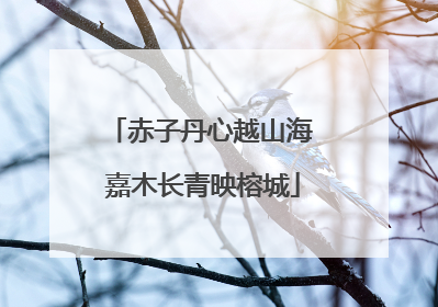赤子丹心越山海 嘉木长青映榕城