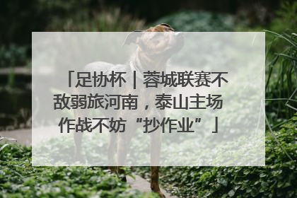足协杯｜蓉城联赛不敌弱旅河南，泰山主场作战不妨“抄作业”