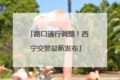 路口通行调整！西宁交警最新发布