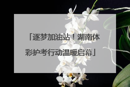 逐梦加油站！湖南体彩护考行动温暖启幕