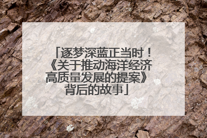 逐梦深蓝正当时！《关于推动海洋经济高质量发展的提案》背后的故事