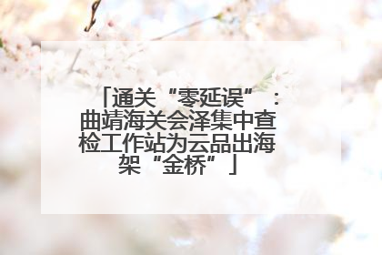 通关“零延误”：曲靖海关会泽集中查检工作站为云品出海架“金桥”